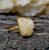 Yellow Citrine Adjustable Ring