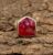 Rough Ruby Sterling Silver Adjustable Ring